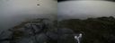 ./images/calvert/buxton2/20160625/buxton220160625_103511M.jpg