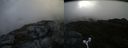 ./images/calvert/buxton2/20160625/buxton220160625_192547M.jpg
