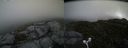 ./images/calvert/buxton2/20160626/buxton220160626_113033M.jpg