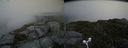 ./images/calvert/buxton2/20160629/buxton220160629_131515M.jpg