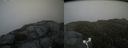 ./images/calvert/buxton2/20160629/buxton220160629_182004M.jpg