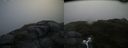 ./images/calvert/buxton2/20160630/buxton220160630_064526M.jpg