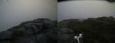 ./images/calvert/buxton2/20160630/buxton220160630_065502M.jpg