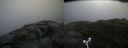 ./images/calvert/buxton2/20160630/buxton220160630_073505M.jpg