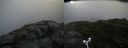 ./images/calvert/buxton2/20160630/buxton220160630_074008M.jpg
