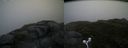 ./images/calvert/buxton2/20160630/buxton220160630_083014M.jpg