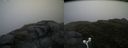 ./images/calvert/buxton2/20160630/buxton220160630_085506M.jpg