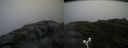 ./images/calvert/buxton2/20160630/buxton220160630_092007M.jpg