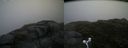 ./images/calvert/buxton2/20160630/buxton220160630_093030M.jpg