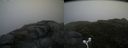 ./images/calvert/buxton2/20160630/buxton220160630_105517M.jpg