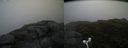 ./images/calvert/buxton2/20160630/buxton220160630_113459M.jpg