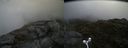 ./images/calvert/buxton2/20160630/buxton220160630_114505M.jpg