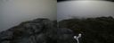 ./images/calvert/buxton2/20160630/buxton220160630_115459M.jpg