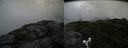 ./images/calvert/buxton2/20160630/buxton220160630_121518M.jpg