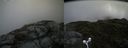 ./images/calvert/buxton2/20160630/buxton220160630_122002M.jpg
