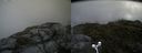 ./images/calvert/buxton2/20160630/buxton220160630_122515M.jpg