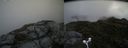./images/calvert/buxton2/20160630/buxton220160630_123459M.jpg