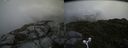 ./images/calvert/buxton2/20160630/buxton220160630_130005M.jpg