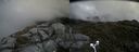./images/calvert/buxton2/20160630/buxton220160630_131029M.jpg