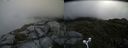 ./images/calvert/buxton2/20160630/buxton220160630_135457M.jpg