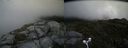 ./images/calvert/buxton2/20160630/buxton220160630_140527M.jpg