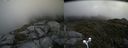 ./images/calvert/buxton2/20160630/buxton220160630_141505M.jpg