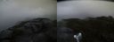 ./images/calvert/buxton2/20160701/buxton220160701_054458M.jpg