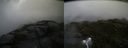 ./images/calvert/buxton2/20160701/buxton220160701_092959M.jpg
