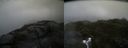 ./images/calvert/buxton2/20160701/buxton220160701_102957M.jpg