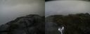 ./images/calvert/buxton2/20160701/buxton220160701_103603M.jpg