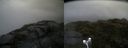 ./images/calvert/buxton2/20160701/buxton220160701_112534M.jpg