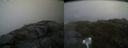 ./images/calvert/buxton2/20160701/buxton220160701_115006M.jpg