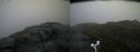 ./images/calvert/buxton2/20160701/buxton220160701_133531M.jpg