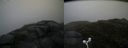./images/calvert/buxton2/20160701/buxton220160701_142024M.jpg