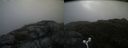 ./images/calvert/buxton2/20160701/buxton220160701_182501M.jpg