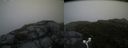 ./images/calvert/buxton2/20160701/buxton220160701_203457M.jpg
