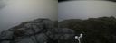 ./images/calvert/buxton2/20160701/buxton220160701_204005M.jpg