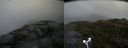 ./images/calvert/buxton2/20160702/buxton220160702_125538M.jpg