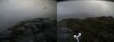 ./images/calvert/buxton2/20160702/buxton220160702_140502M.jpg