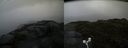 ./images/calvert/buxton2/20160702/buxton220160702_142958M.jpg