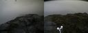 ./images/calvert/buxton2/20160702/buxton220160702_150458M.jpg