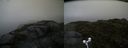 ./images/calvert/buxton2/20160702/buxton220160702_152022M.jpg