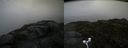 ./images/calvert/buxton2/20160702/buxton220160702_154458M.jpg