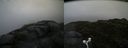 ./images/calvert/buxton2/20160702/buxton220160702_155505M.jpg