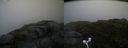 ./images/calvert/buxton2/20160702/buxton220160702_160959M.jpg