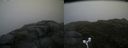 ./images/calvert/buxton2/20160702/buxton220160702_171003M.jpg