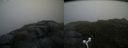 ./images/calvert/buxton2/20160702/buxton220160702_173602M.jpg