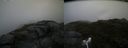 ./images/calvert/buxton2/20160702/buxton220160702_175603M.jpg