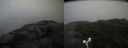 ./images/calvert/buxton2/20160702/buxton220160702_181012M.jpg