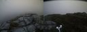 ./images/calvert/buxton2/20160702/buxton220160702_202003M.jpg